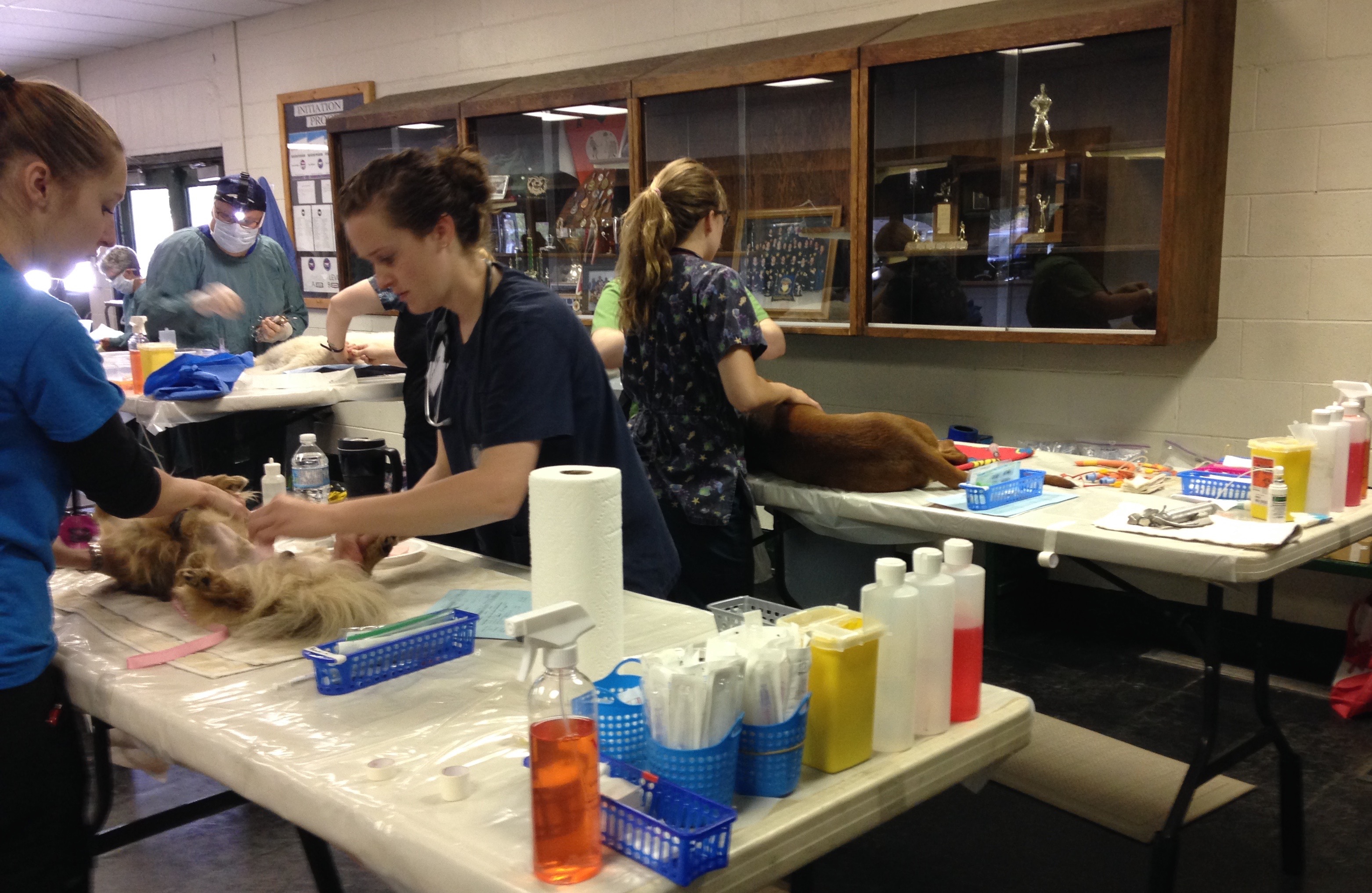 Tour of CAAT Animal Health Care Clinic Part Two Fort St